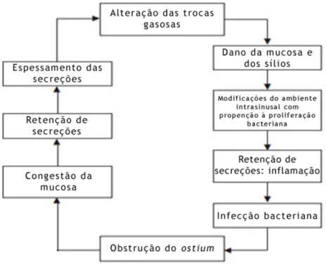 Figura 7 – Fisiopatologia da rinossinusite crónica (Fonte: Barberán et al., 2008, p.49) 