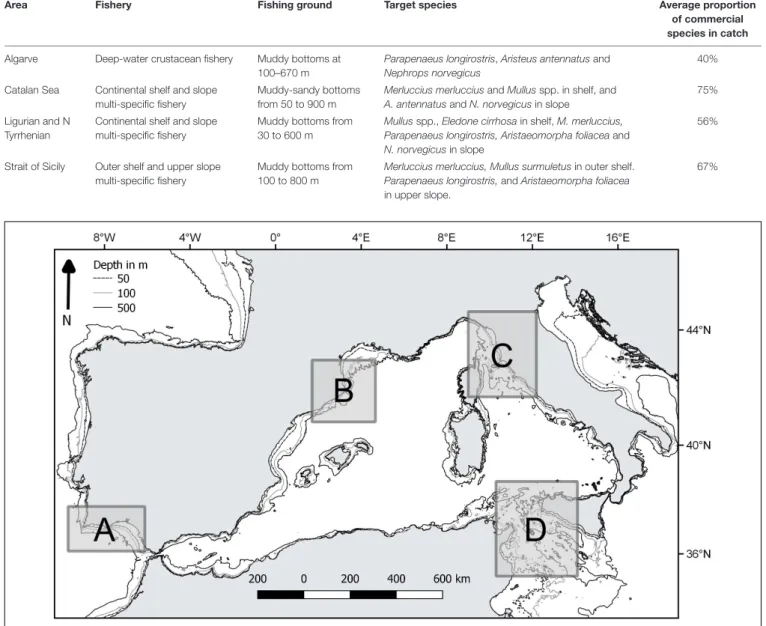 TABLE 2 | Characteristics of the trawl fisheries in the four case studies.