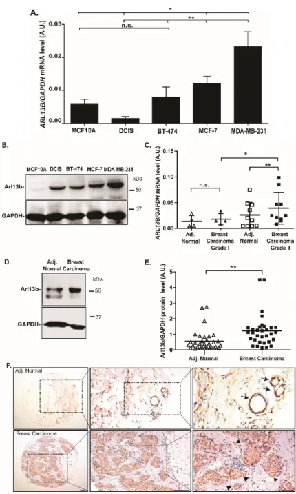 Figure 5. Cont. 