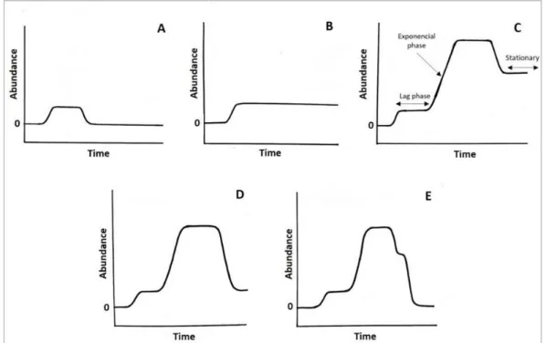 Figure 1.1. Five possible scenarios of non-indigenous species dynamics after introduction: A) establishment  fails; B) established but species remains non-invasive; C) species becomes invasive after an exponential  abundance increase, and then it reaches a