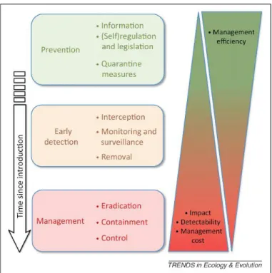 Figure  1.3.  Schematic  summary  of  the  ideal  management  strategy  of  (potentially)  invasive  species  over  time