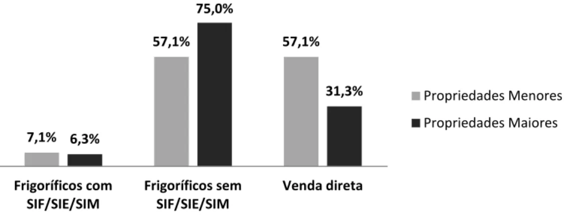 Gráfico 10. Destino de venda do produto final por tamanho de propriedade nas pisciculturas  em tanque rede do município de Morada Nova de Minas, MG