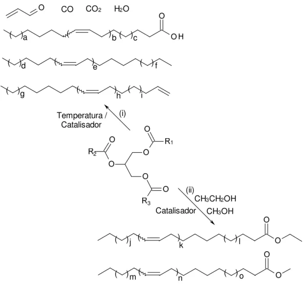 Figura 2. Obtenção de combustíveis líquidos a partir de triacilglicerídeos pelas  reações de: (i) craqueamento; e (ii) transesterificação