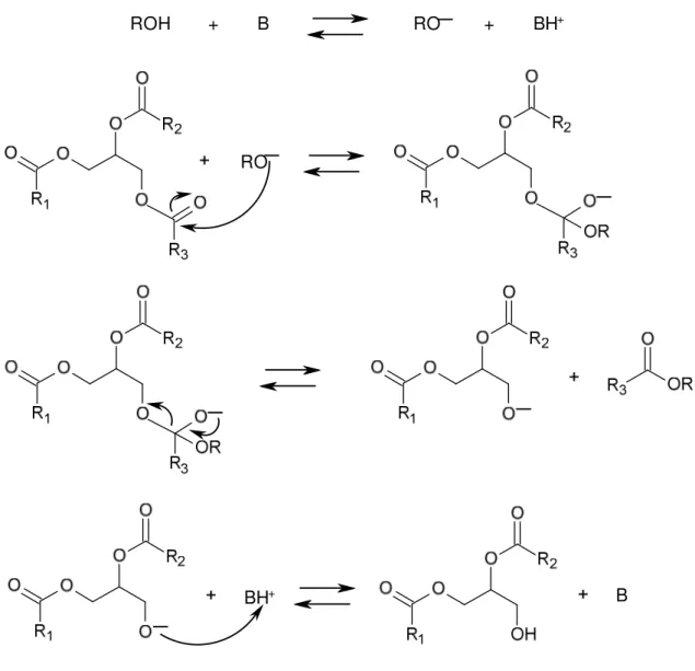 Figura 14. Proposta mecanística para a transesterificação alcalina de  triacilglicerídeos, onde B é uma base de Brönsted