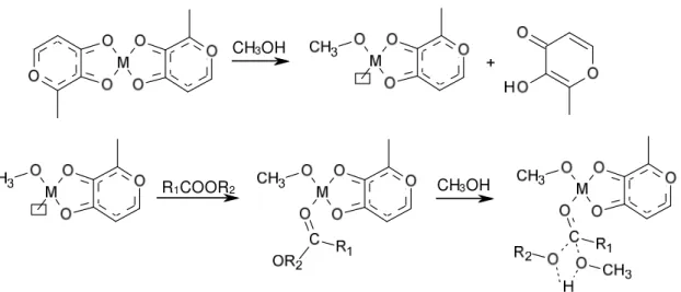 Figura 15. Proposta mecanística para a transesterificação de triacilglicerídeos  usando catalisadores ácidos de Lewis