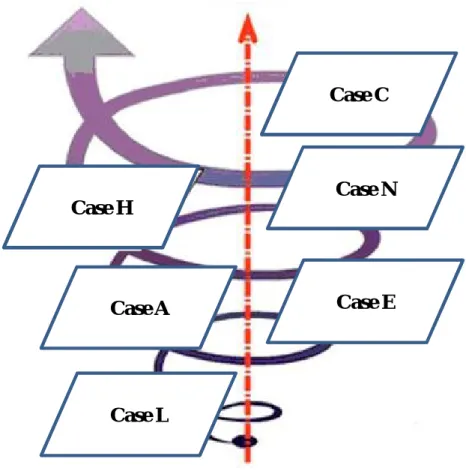 Figure 2.3 - Case selection process 