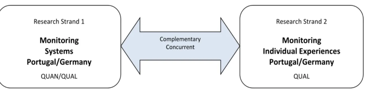 Figure 2: The dualistic monitoring process 