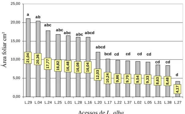 Figura 6. - Médias das áreas foliares (cm 2 ) determinadas pelo software Image Pro Plus de 16  acessos de L