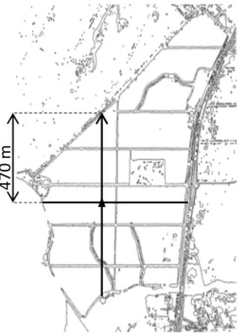 Figure 2. Olive orchard and location of the eddy covariance tower (black triangle, 38˚24'46.3ʺN,  7˚43'39.8ʺW)