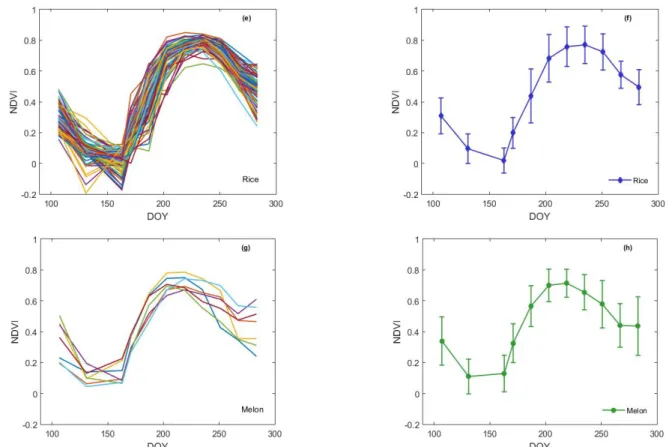 FIGURE 4. NDVI time series for maize (a), tomato (c), rice (e) and melon (g) crop parcels using the set of curves approach  and  mean  NDVI  curves  obtained  for  maize  (b),  tomato  (f),  rice  (h)  and  melon  (d)  using  the average  curve  approach, 