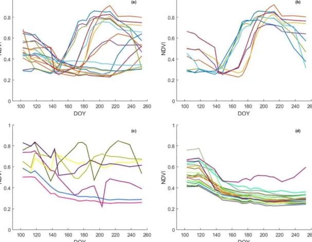 FIGURE 6. Mean NDVI time series for all parcels declared by the farmers as irrigated maize (a), after removing the outliers’ 