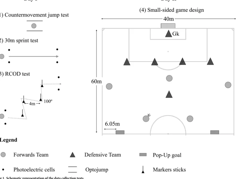 Fig 1. Schematic representation of the data collection tests.