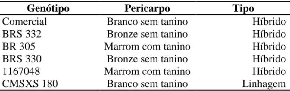 Tabela 1. Tipo de grão e características do pericarpo dos genótipos utilizados  