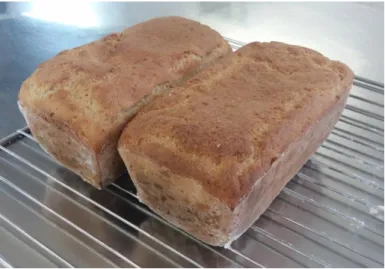 Figura 5: Teste de receita de pão sem glúten. 