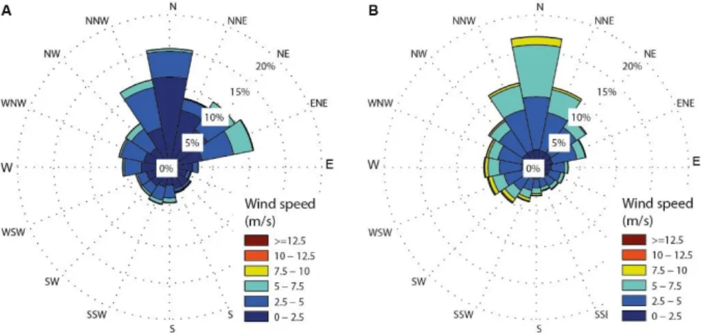 Figure 4. Wind rose of the 10 year record of local wind observations (A), and of the 49 years hindcast  surface winds (B)