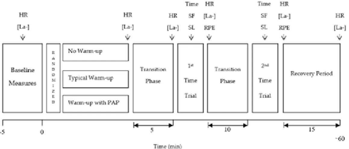 Figure  1.  Schematic  representation  of  the  study design  and  testing  procedures used