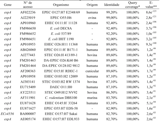 Tabela 10. Análise de identidade do provável gene espA do isolado C40 de DAEC. 