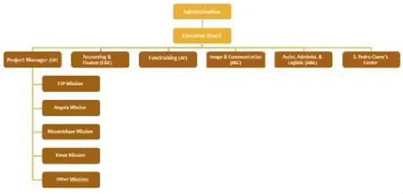Figure 5. LD’s executive team structure.
