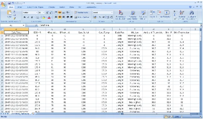 Figura 18 - Aspeto do output dos dados constituintes do CSV, em MS Excel  (Fonte: MS Excel) 