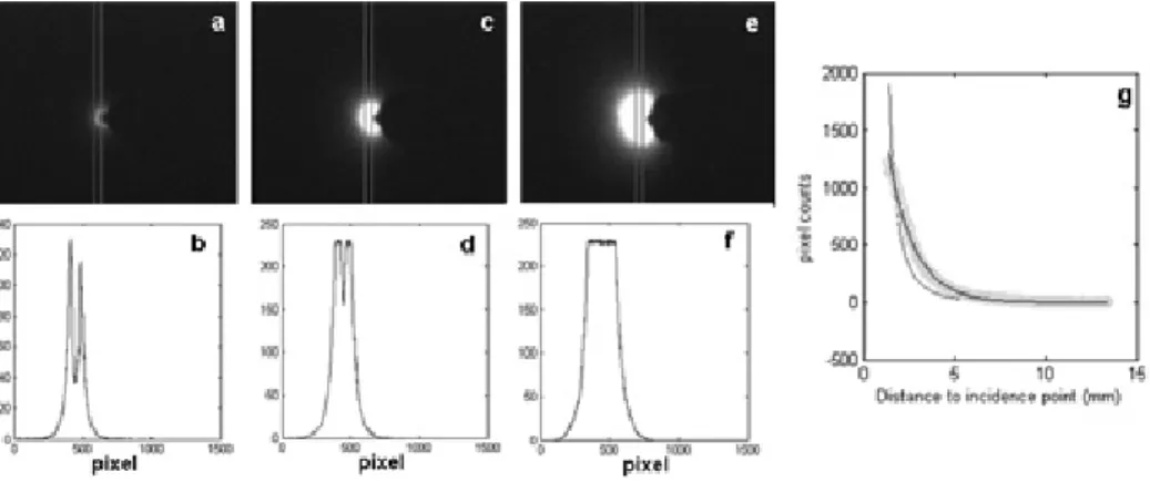 fig 1.  Results of SRR. a) image of the light halo (and of the optical fiber tip) in one of the pears with the highest  attenuation; b) intensity profile corresponding to the box represented in a); c) same as a) with intermediate attenuation; 