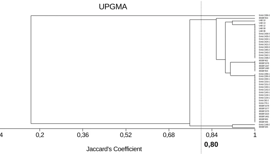 Figura 5. Dendrograma baseado no método UPGMA, de acordo com os perfis gerados por BOX-PCR, mostrando as ralações  entre os isolados identificados como  Erwinia psidii, obtidos nas regiões de Brazlândia-DF e nos estados de São Paulo,  Paraná e Espírito San