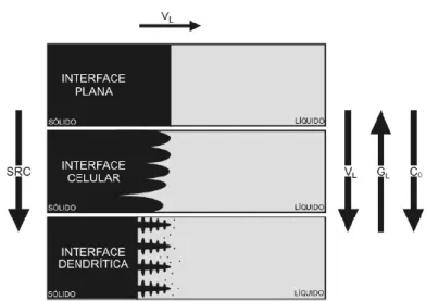 Figura 2.8: Esquema de desenvolvimento de uma interface celular. 