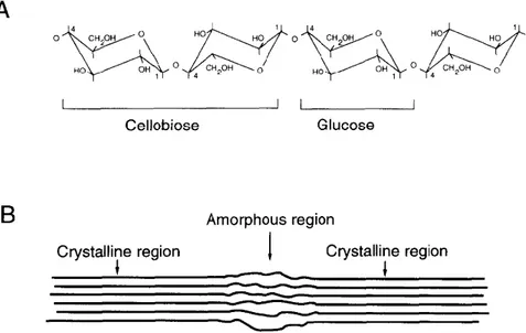 Figura 5: Estrutura da celulose. Em a), resíduos de glicose formando a celobiose, unidade básica da celulose