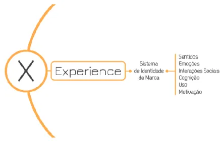 Figura 2 Diagrama TXM - Experience