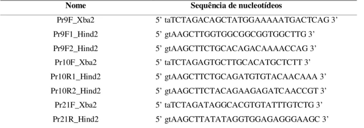 Tabela 3: Sequência dos iniciadores para os clones 09, 10 e 21 utilizados para amplificação das  sequências  para  clonagem  no  vetor  pGPro2  (Genbank:  EU147786)  (Thilmony  et  al.,  2006; 