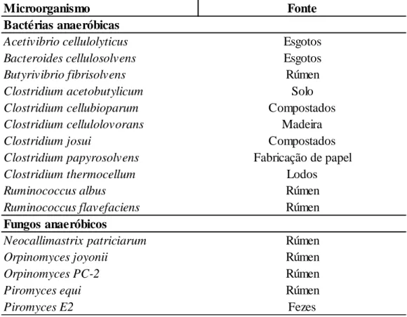 Tabela 1. Bactérias e Fungos produtores de celulossoma. 