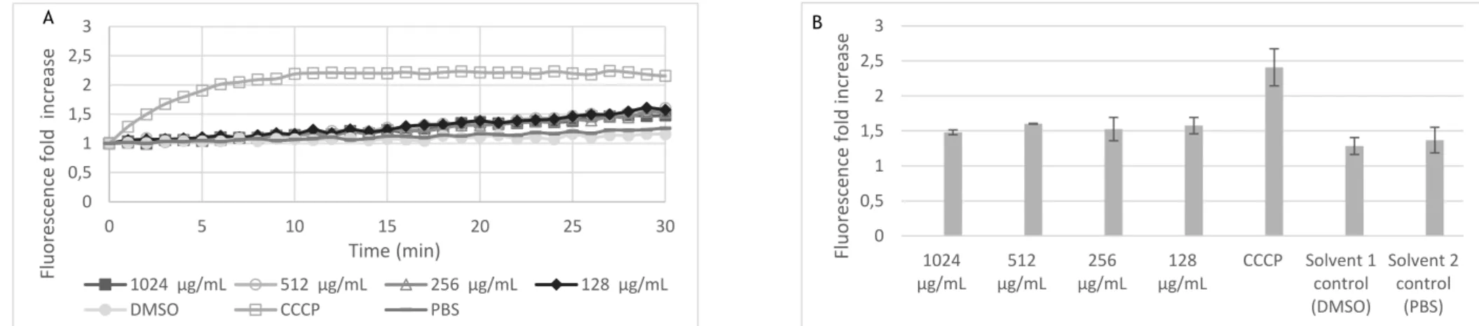 Figure 9. Ethidium bromide accumulation assay for DQ46M1 strain in the presence of sub-inhibitory concentrations of (-)-epicatechin over 30 minutes (A) and at 30 minutes  (B)