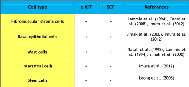 Table I.1. Expression of SCF/c-KIT system in prostate cells (Cardoso et al., 2014). 