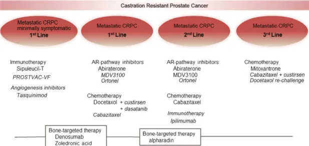 Figure  I.5.  Evolution  of  treatment  of  hormone  refractory  prostate  cancer  (HRPC)