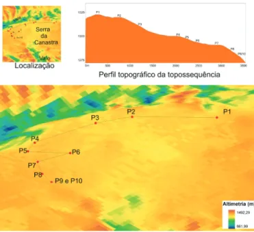 Figura 5. Localização e trajetória dos perfil e perfil topográfico da topossequência elaborado a partir do  MDT mostrando a disposição dos perfis P1, P2, P3, P4, P5, P6, P7, P8, P9, P10