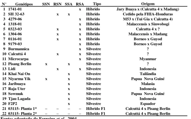 Tabela  4.  Genótipos  diploides  (AA)  de  M.  acuminata  contrastando  em  resistência  às  Sigatokas,  utilizados para avaliar marcadores SSR
