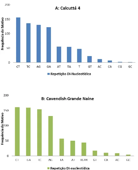 Figura 11. Abundância de motivos para repetições microssatélites dinucleotídeos em Calcutta 4  (A) e Cavendish Grande Naine (B)