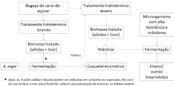 Figura 15: Proposta de aplicação de tratamentos hidrotérmicos para produção de coquetéis enzimáticos em  biorrefinaria de cana-de-açúcar