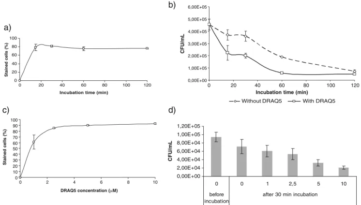 Fig. 1 Effect of incubation time and DRAQ5 concentration in the percentage of stained cells and bacterial viability: (a) percentage of DRAQ5 stained cells following different incubation times using a fixed DRAQ5 concentration (5 µM), (b) effect of incubati