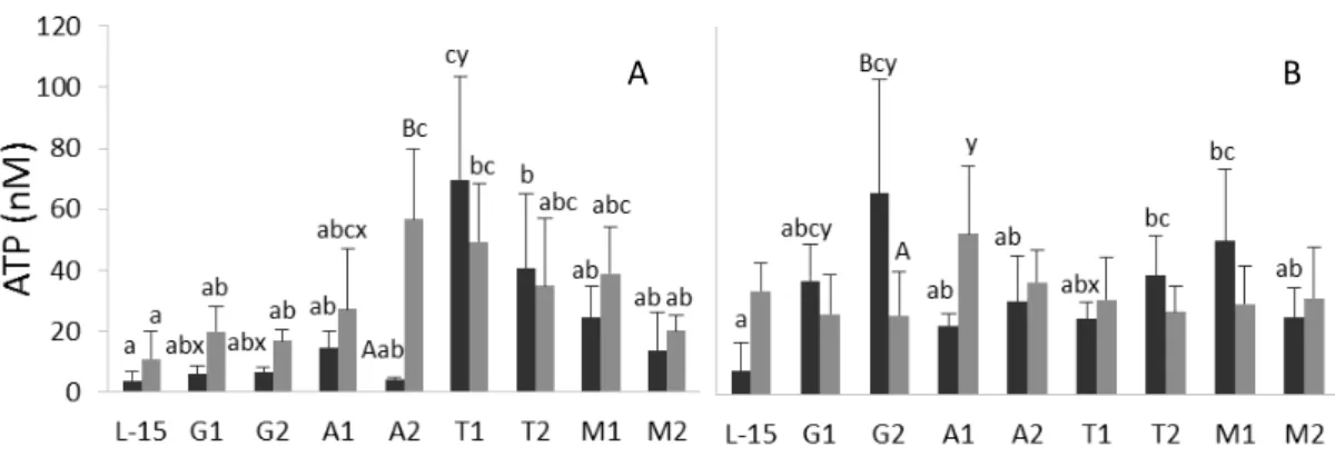 Fig. 3 Extracellular ATP concentration in the supernatant of HKL subjected to the experimental treatments for 4 (A) or 24  h (B) under CTRL (■) or vaLPS (■) conditions