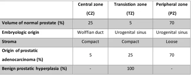 Table 1. Histological  composition  and embryologic origins of the several zones of the prostate gland  (adapted from (1))