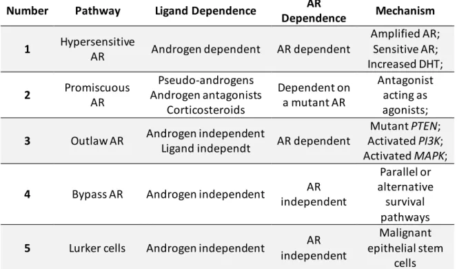 Table 2. The different pathways involved in the development of androgen-resistant prostate cancer  (Adapted from (75))