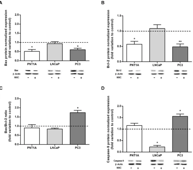 Figure  13. Expression of proteins associated with the intrinsic pathway of apoptosis, pro-apoptotic  protein Bax (A), anti-apoptotic protein Bcl-2 (B), Bax/Bcl-2 ratio (C) and the initiator    caspase-9 (D)  in non-neoplastic PNT1A cells and neoplastic LN
