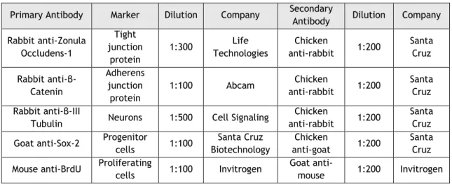 Table 2: Antibodies used for immunocytochemistry 