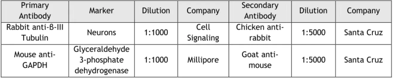 Table 3: Antibodies used for western blotting Primary 