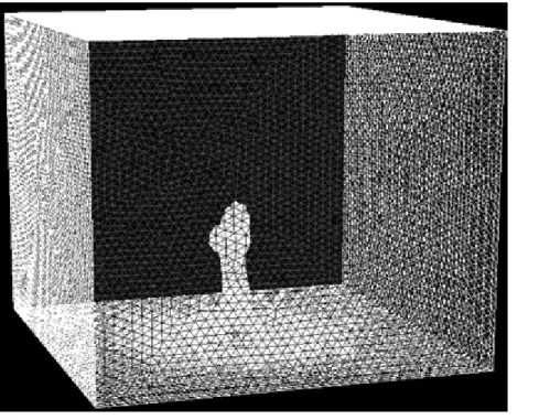 Figure 1 — Hand and forearm model inside the three-dimensional domain. The whole domain was meshed with 900,000 cells.