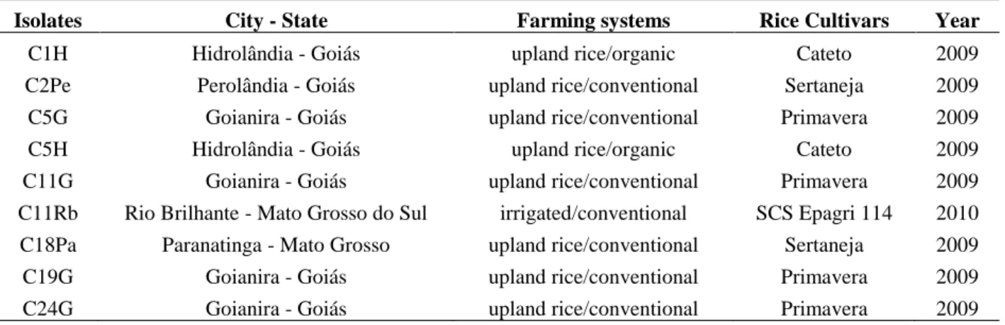 Table 1 Cladosporium spp. isolates isolated from rice phylloplane collected from commercial rice fields in Brazil in  the years 2009 and 2010.