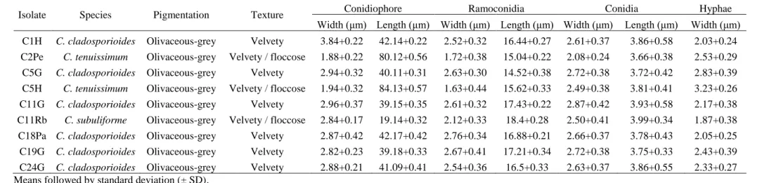 Table 3 Morphological characteristics and measurement of Cladosporium spp. structures