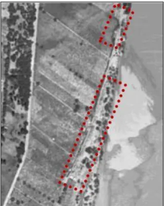Figura  6  -  Situação  urbanística  de  Caneiras  em  1956  (com  dois  núcleos),  fotografia  aérea,  com  base  em  Almeida, 2015: 47