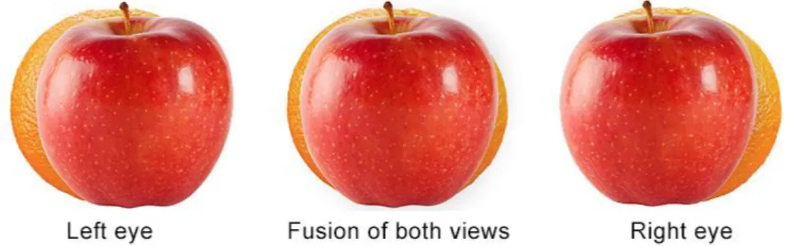 Figure 11 – Effects of horizontal disparity on binocular vision (original creation from parts of [4])