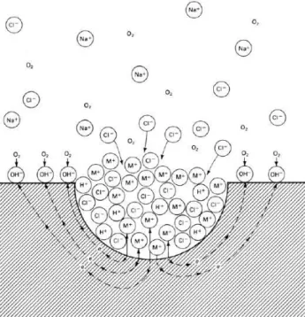 Figura 22: Ilustração do processo auto catalítico no interior de um pite (ASM  HANDBOOK, 2005) 